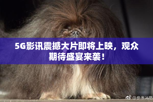 5G影讯震撼大片即将上映，观众期待盛宴来袭！
