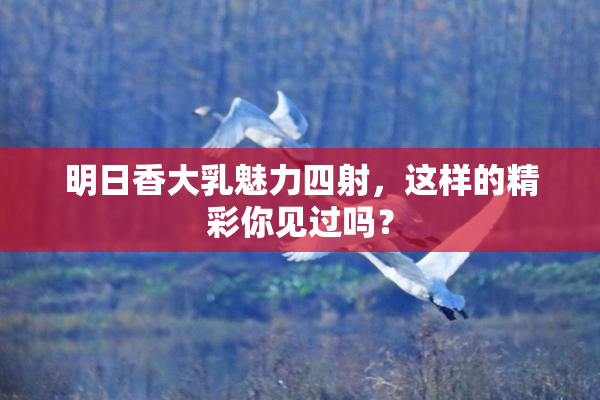 明日香大乳魅力四射，这样的精彩你见过吗？