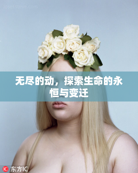 无尽的动，探索生命的永恒与变迁