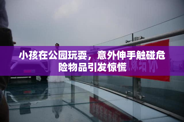 小孩在公园玩耍，意外伸手触碰危险物品引发惊慌