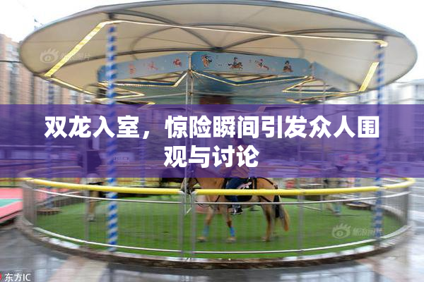 双龙入室，惊险瞬间引发众人围观与讨论