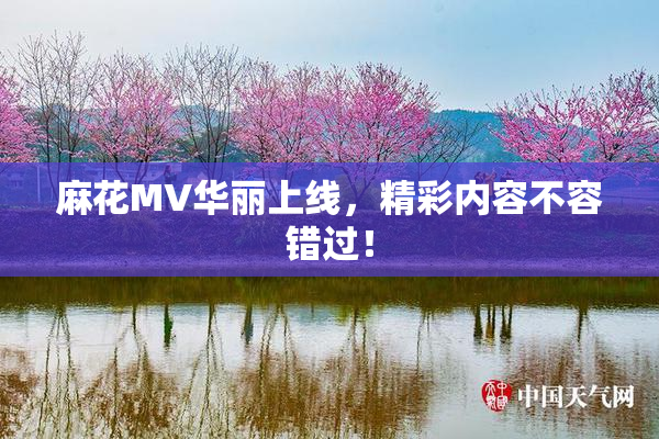 麻花MV华丽上线，精彩内容不容错过！