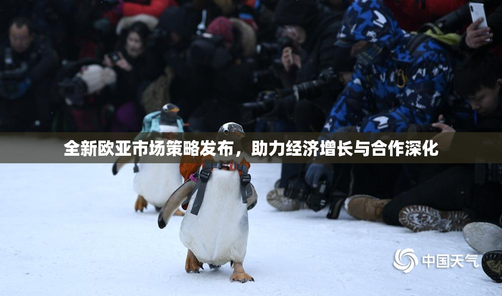 全新欧亚市场策略发布，助力经济增长与合作深化