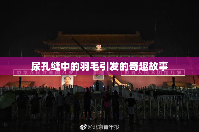 尿孔缝中的羽毛引发的奇趣故事