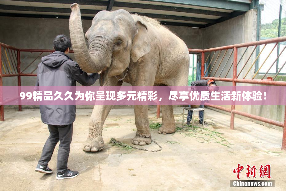 99精品久久为你呈现多元精彩，尽享优质生活新体验！