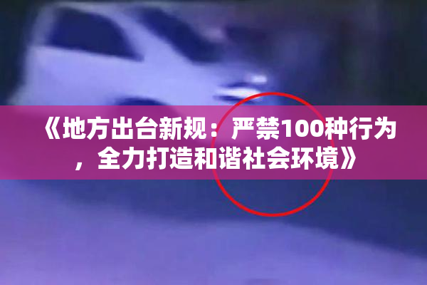 《地方出台新规：严禁100种行为，全力打造和谐社会环境》