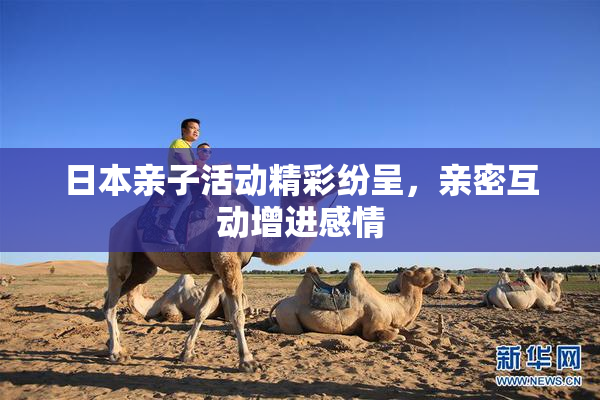 日本亲子活动精彩纷呈，亲密互动增进感情