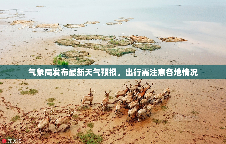 气象局发布最新天气预报，出行需注意各地情况
