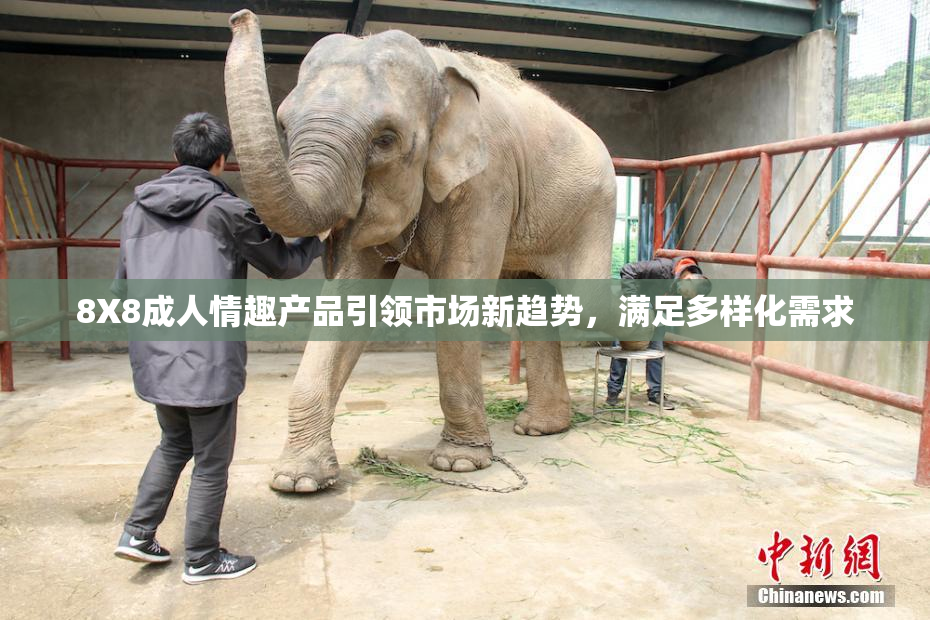 8X8成人情趣产品引领市场新趋势，满足多样化需求