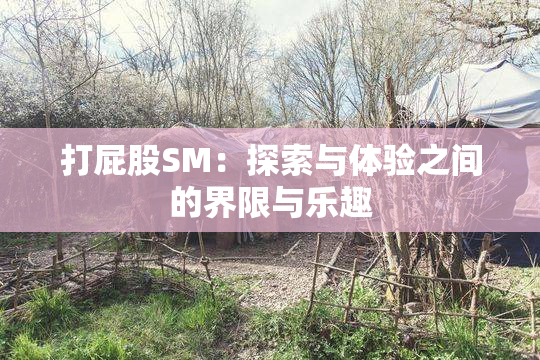 打屁股SM：探索与体验之间的界限与乐趣