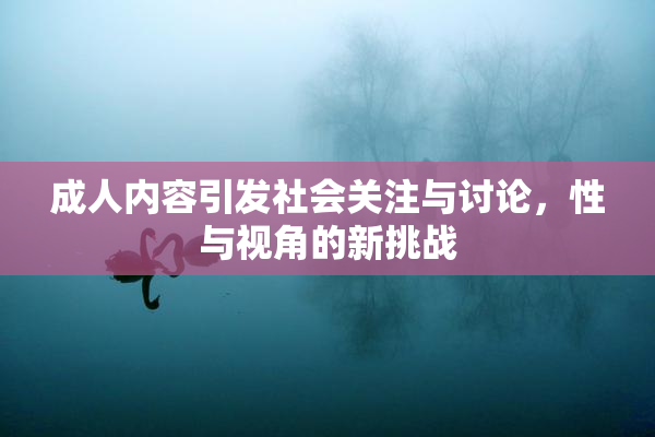 成人内容引发社会关注与讨论，性与视角的新挑战