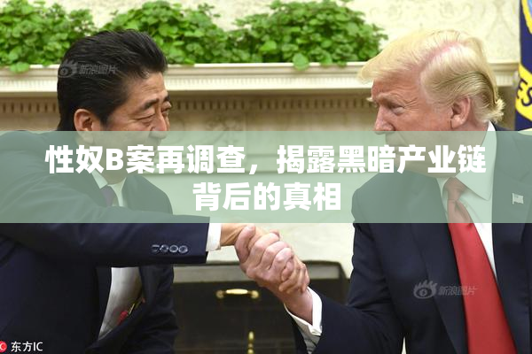 性奴B案再调查，揭露黑暗产业链背后的真相