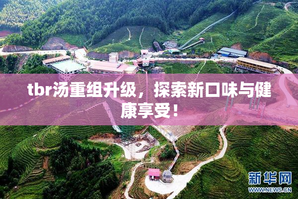 tbr汤重组升级，探索新口味与健康享受！