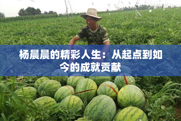 杨晨晨的精彩人生：从起点到如今的成就贡献