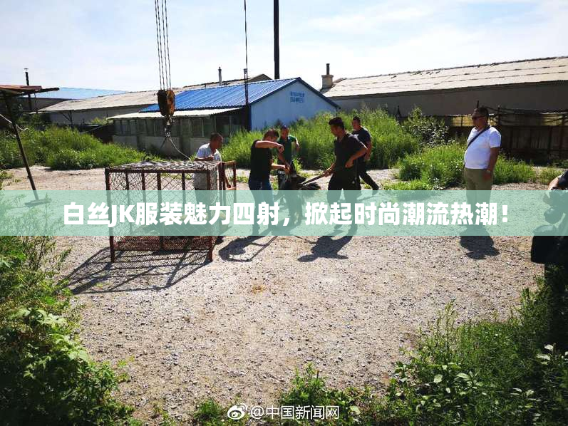 白丝JK服装魅力四射，掀起时尚潮流热潮！