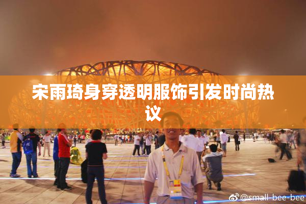 宋雨琦身穿透明服饰引发时尚热议