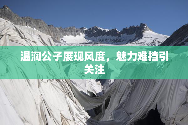 温润公子展现风度，魅力难挡引关注