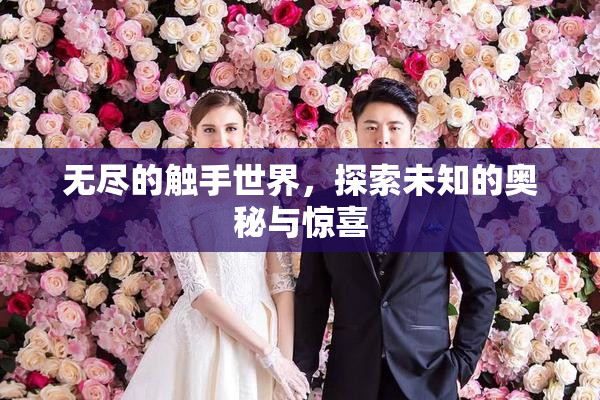 无尽的触手世界，探索未知的奥秘与惊喜