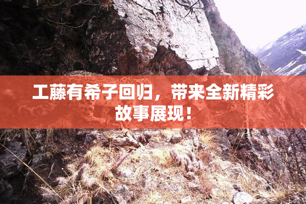 工藤有希子回归，带来全新精彩故事展现！