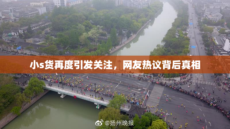 小s货再度引发关注，网友热议背后真相