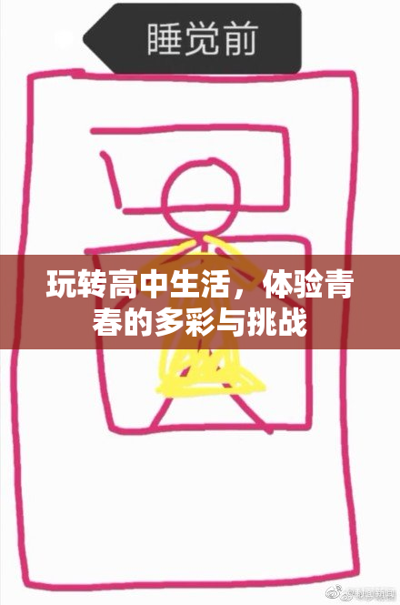 玩转高中生活，体验青春的多彩与挑战