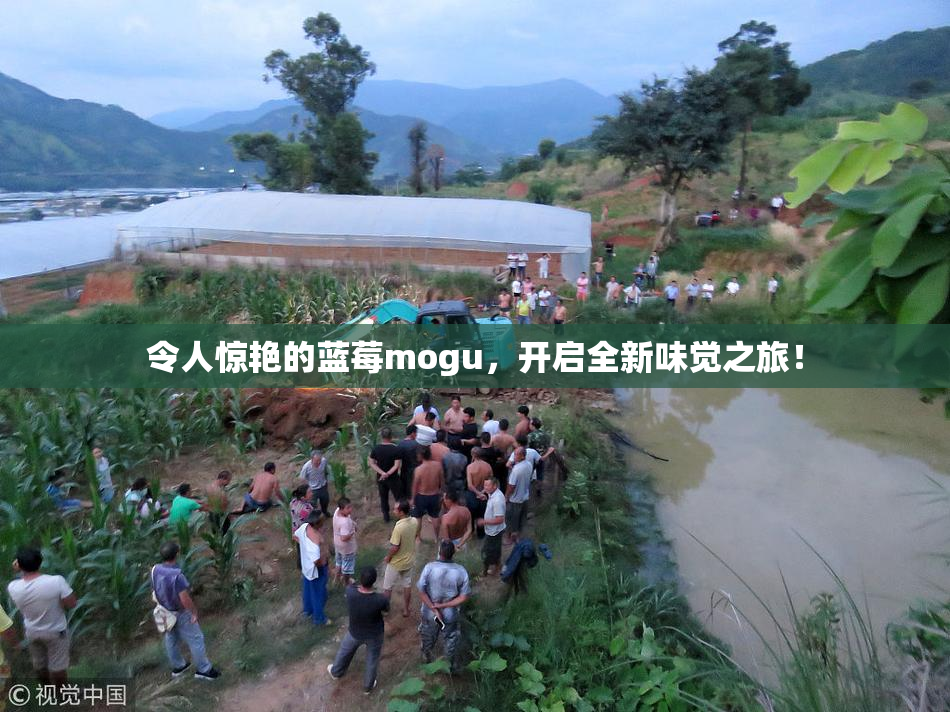 令人惊艳的蓝莓mogu，开启全新味觉之旅！