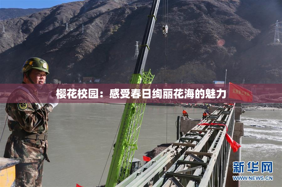 樱花校园：感受春日绚丽花海的魅力