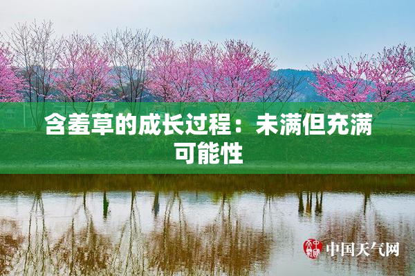 含羞草的成长过程：未满但充满可能性