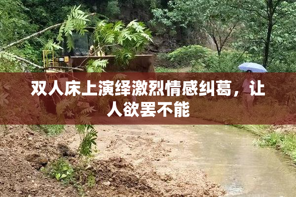 双人床上演绎激烈情感纠葛，让人欲罢不能