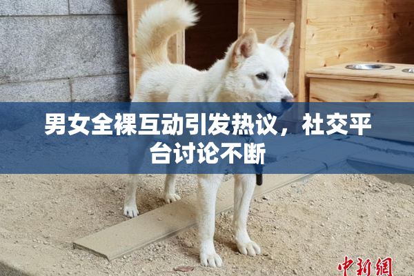男女全裸互动引发热议，社交平台讨论不断