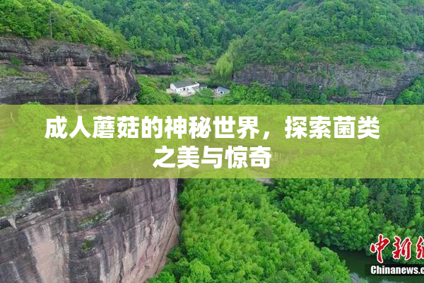 成人蘑菇的神秘世界，探索菌类之美与惊奇