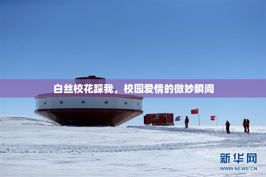 白丝校花踩我，校园爱情的微妙瞬间