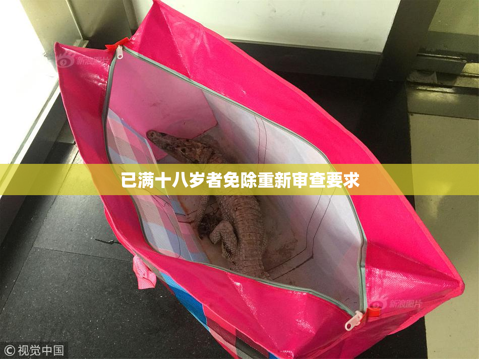 已满十八岁者免除重新审查要求