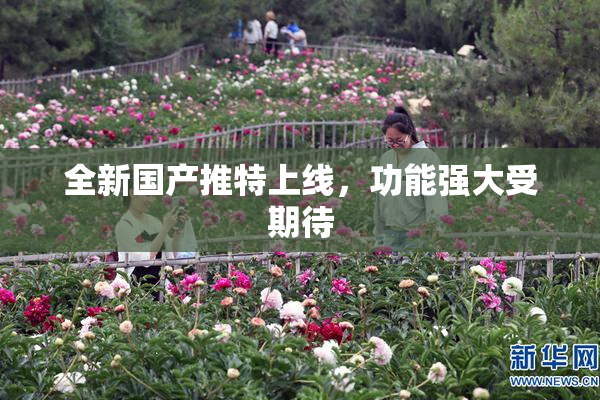 全新国产推特上线，功能强大受期待