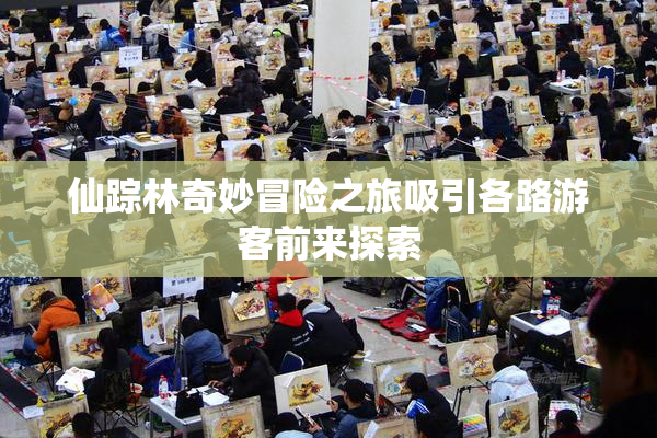 仙踪林奇妙冒险之旅吸引各路游客前来探索