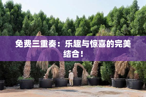 免费三重奏：乐趣与惊喜的完美结合！