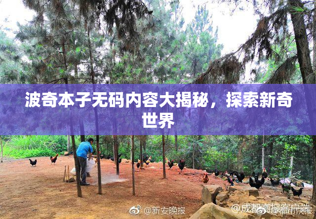 波奇本子无码内容大揭秘，探索新奇世界