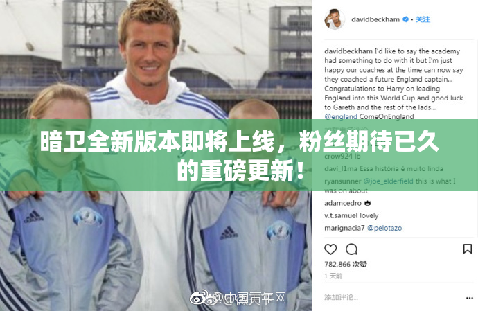 暗卫全新版本即将上线，粉丝期待已久的重磅更新！