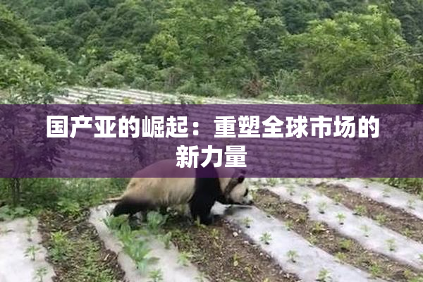 国产亚的崛起：重塑全球市场的新力量