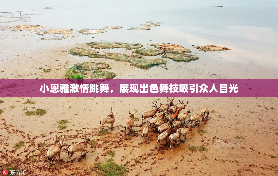 小恩雅激情跳舞，展现出色舞技吸引众人目光
