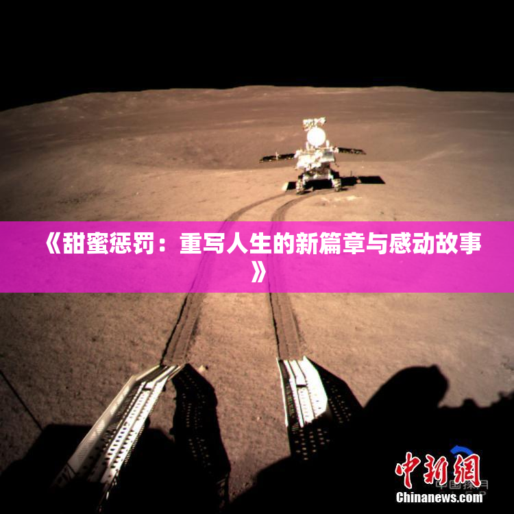 《甜蜜惩罚：重写人生的新篇章与感动故事》