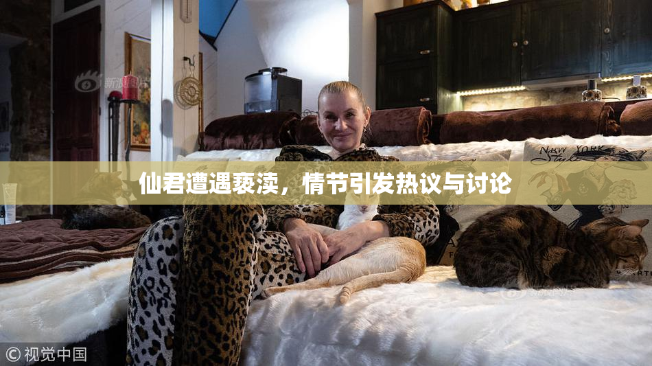 仙君遭遇亵渎，情节引发热议与讨论