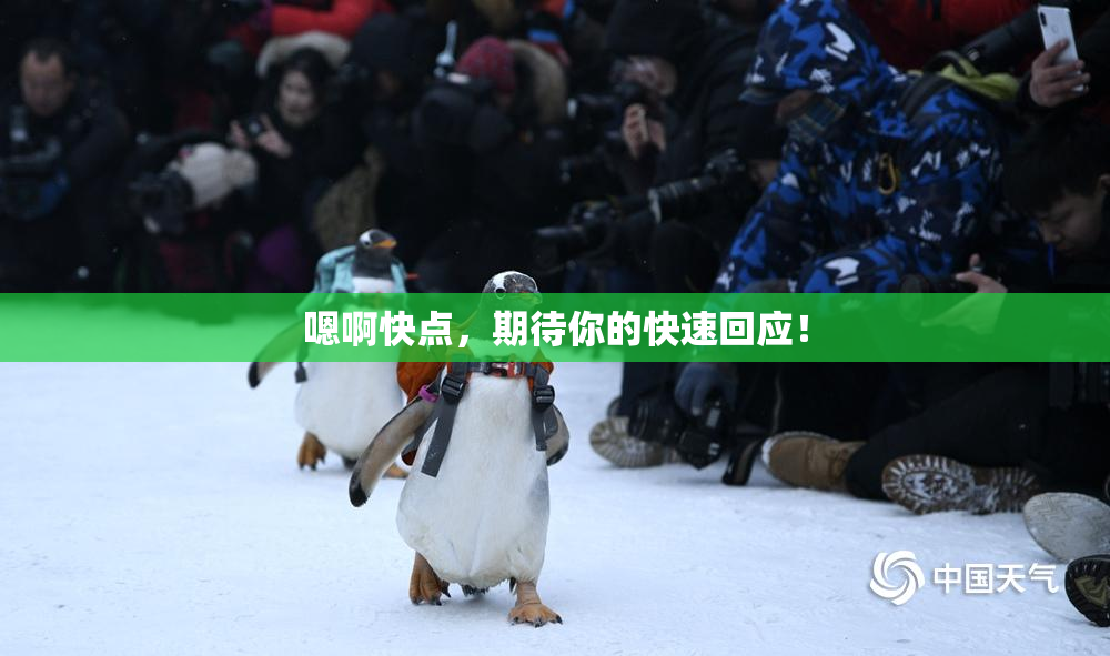 嗯啊快点，期待你的快速回应！