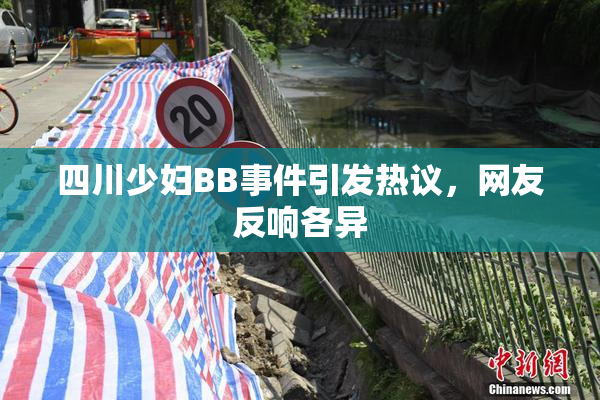 四川少妇BB事件引发热议，网友反响各异