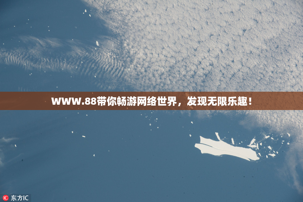 WWW.88带你畅游网络世界，发现无限乐趣！