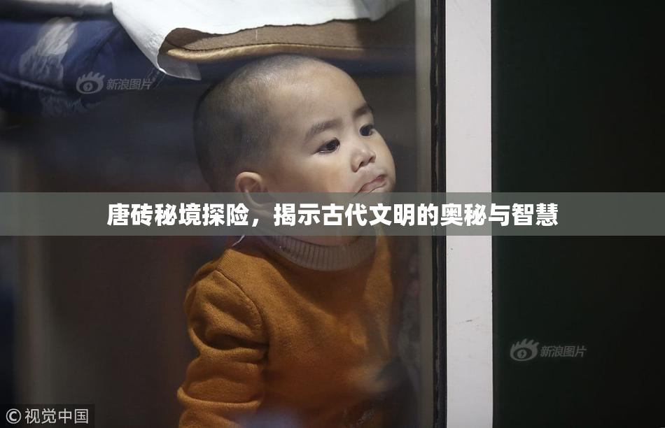 唐砖秘境探险，揭示古代文明的奥秘与智慧
