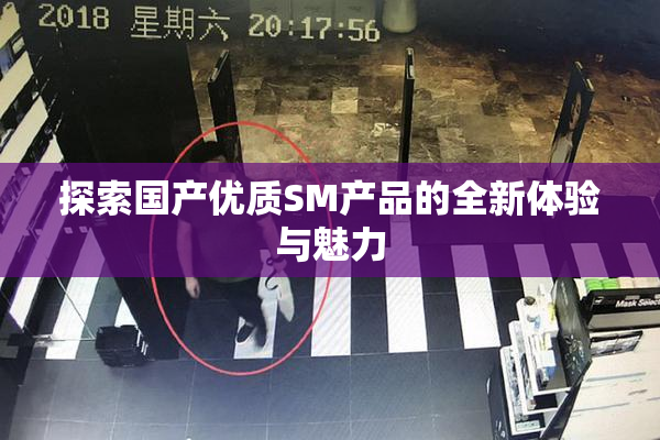 探索国产优质SM产品的全新体验与魅力