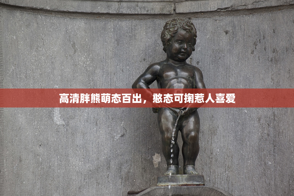 高清胖熊萌态百出，憨态可掬惹人喜爱
