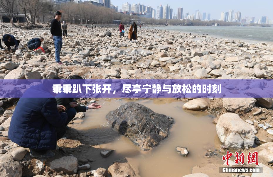 乖乖趴下张开，尽享宁静与放松的时刻