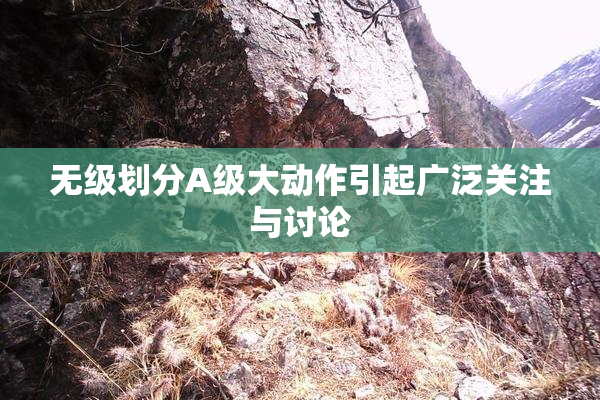 无级划分A级大动作引起广泛关注与讨论